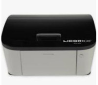 3360-00 ATLAS™ Imager – pokročilý zobrazovací systém pro Western blot, fluorescenci a analýzu biomolekul